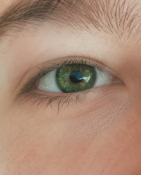 Calming Eye Cream – Bild 2