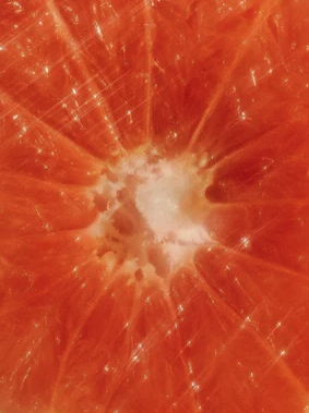 Hand & Body Wash, Grapefruit – Bild 3